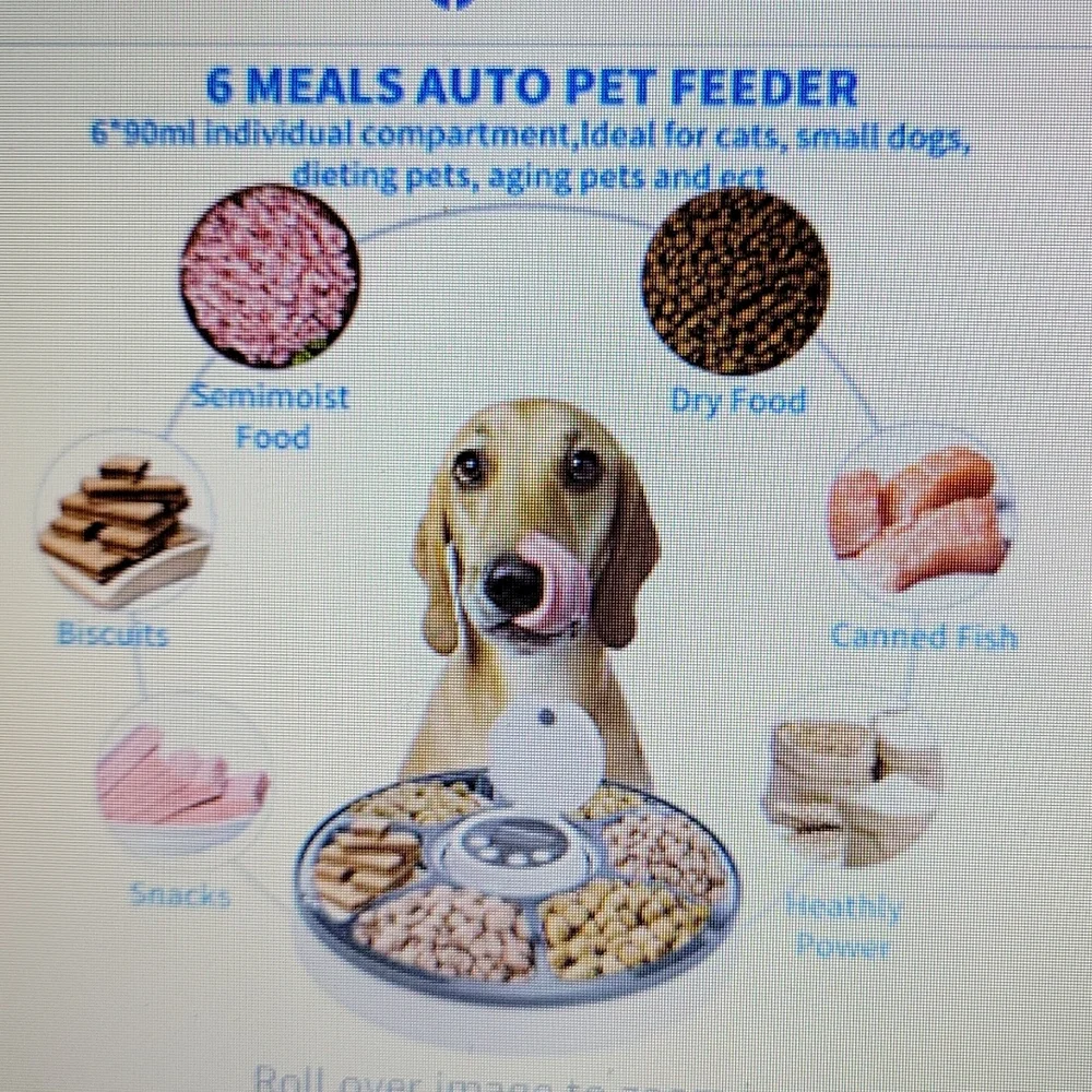 Timed Pet Feeder 6 compartments hold 70g dry or wet food LED screen battery NEW…